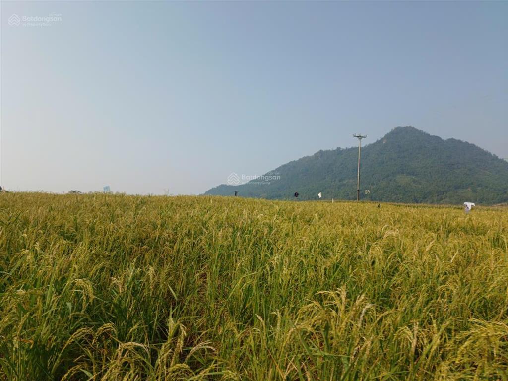 Đất đẹp giá vừa túi tiền 299m, có 100m thổ cư