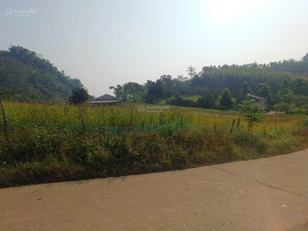 Đất đẹp giá vừa túi tiền 299m, có 100m thổ cư