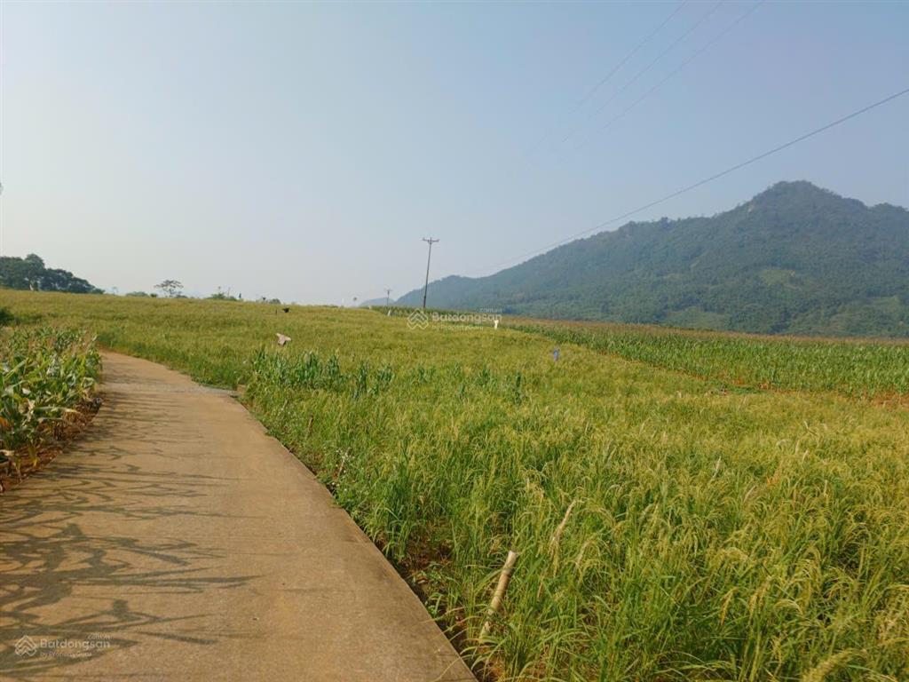 Đất đẹp giá vừa túi tiền 299m, có 100m thổ cư