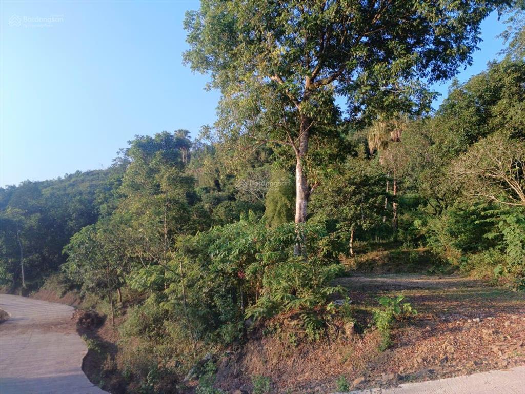 Siêu phẩm đất ven hồ hòa bình 2226m2 | 400m2 thổ cư