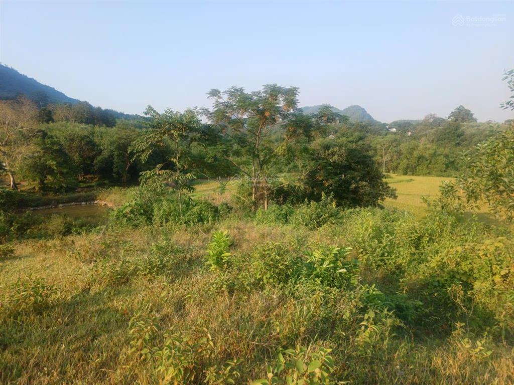 Đất view cánh đồng lúa đà bắc | 4.380m | chỉ 2,5 tỷ
