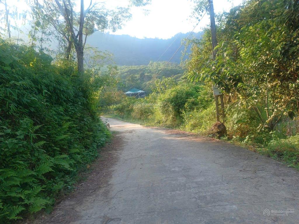 Đất view cánh đồng lúa đà bắc | 4.380m | chỉ 2,5 tỷ