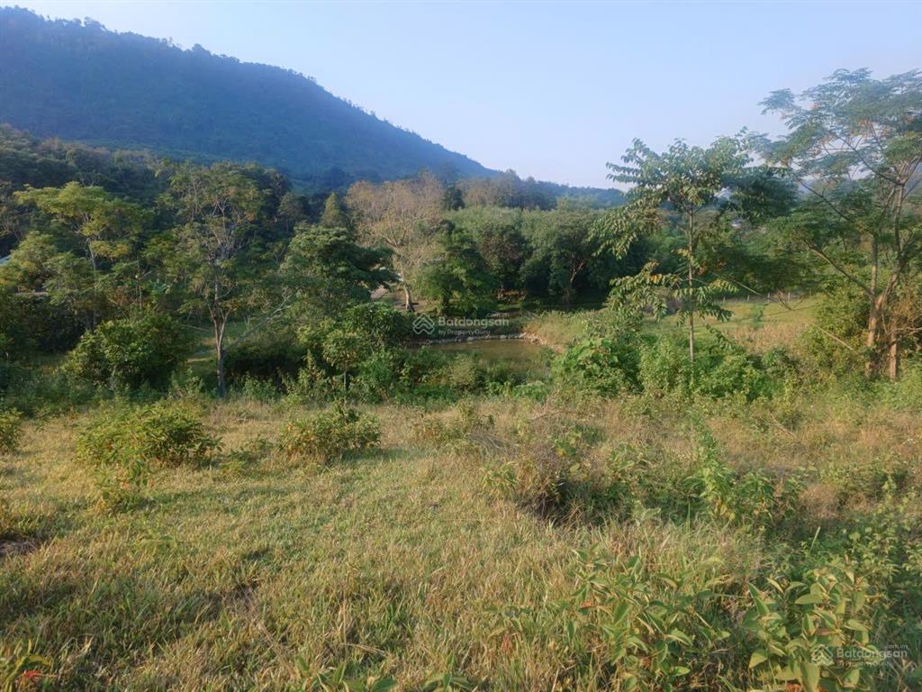 Đất view cánh đồng lúa đà bắc | 4.380m | chỉ 2,5 tỷ