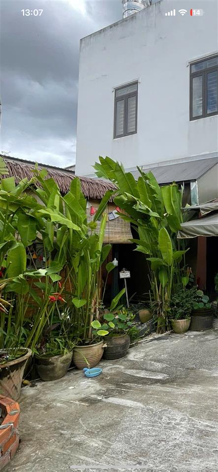 Biệt thự mặt tiền đường tầm vu
