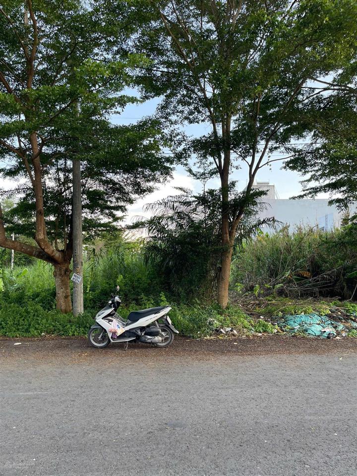 Giảm 200 triệu trục chính tây đô ecopark vip lắm luôn