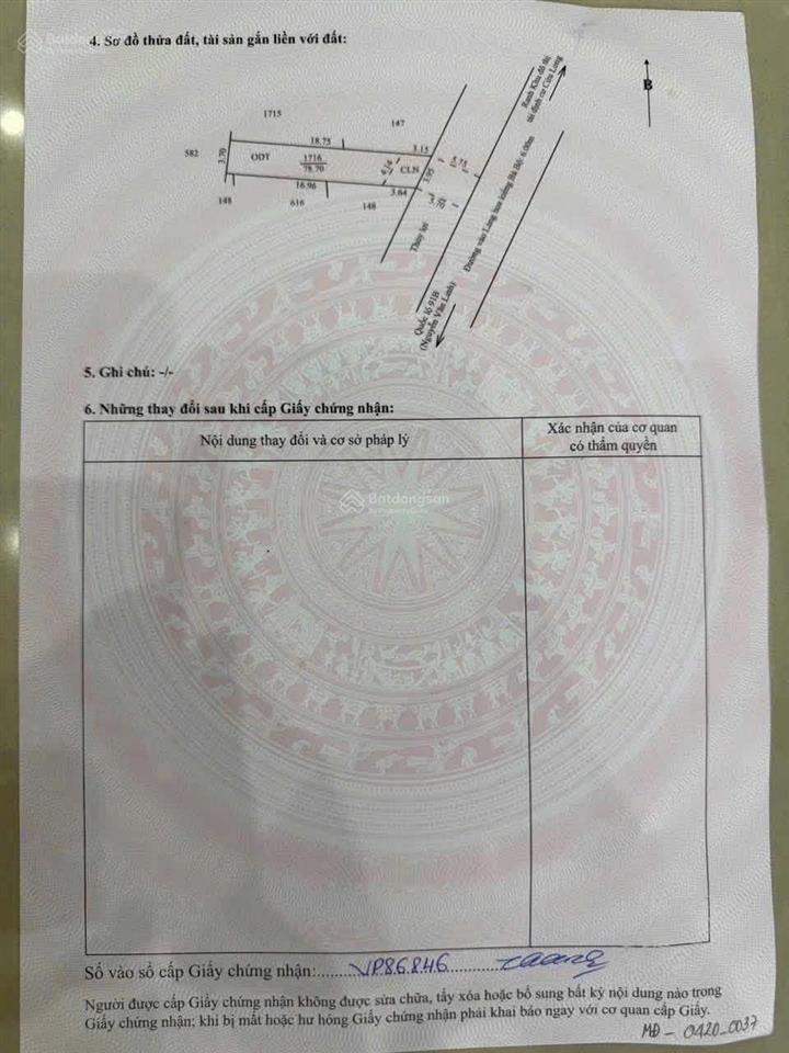 Mặt tiền đường làng hoa kiểng kế trần bạch đằng tp cần thơ