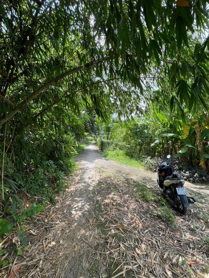 Thiện chí bán đất gần núi két, chợ nhà bàng, tịnh biên an giang