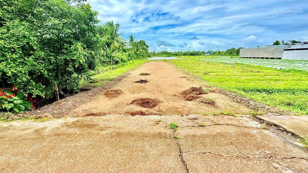 Cách đại học nam cần thơ 1km, sổ hồng lộ ô tô, rạch vinh bán 8 nền liền kề