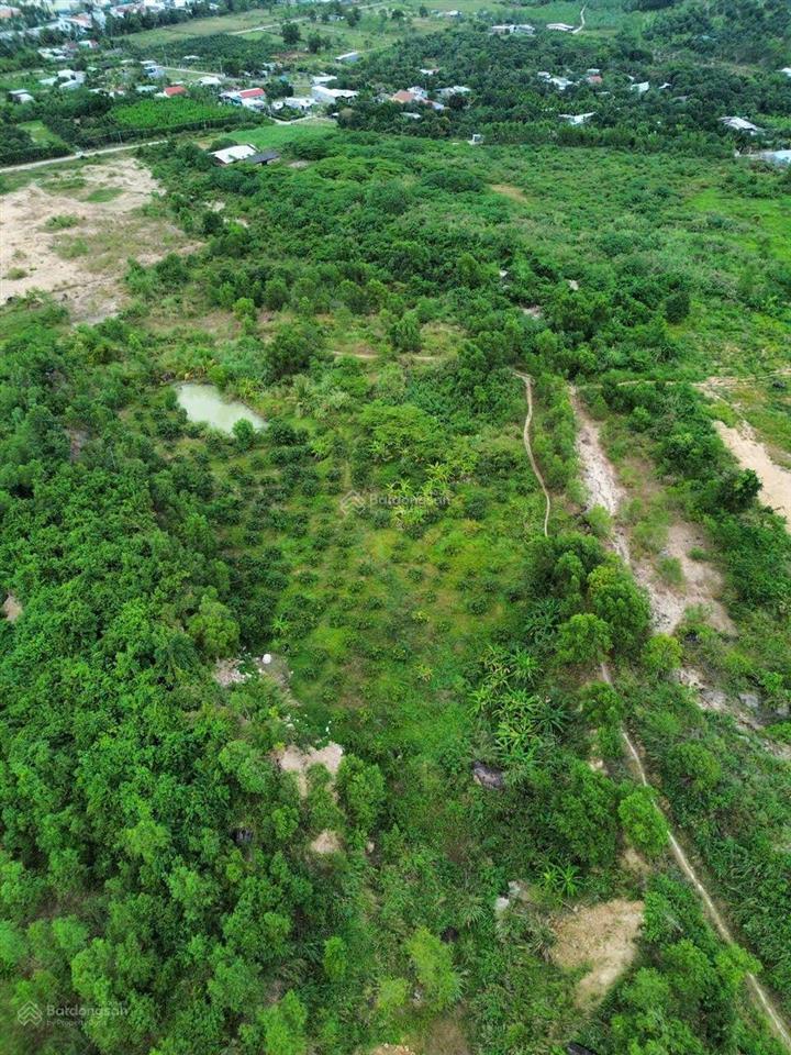 Vườn xoài suối hiệp, khánh hòa gần 5000m2 view rất đẹp, ngay kcn suối hiệp. giá chỉ 1 tỷ 9
