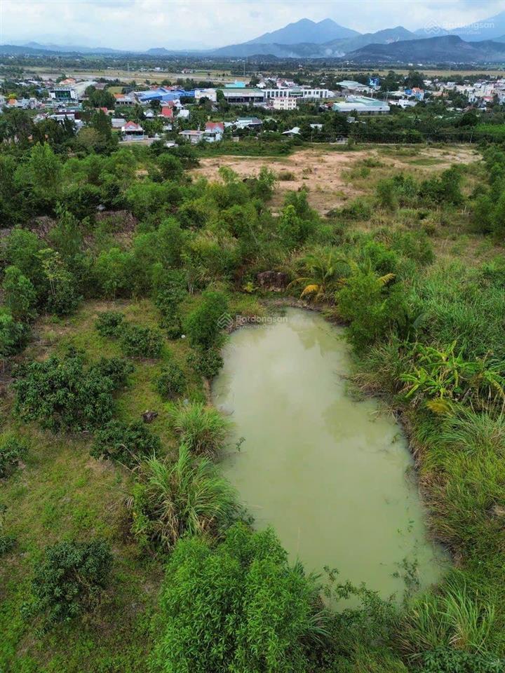 Vườn xoài suối hiệp, khánh hòa gần 5000m2 view rất đẹp, ngay kcn suối hiệp. giá chỉ 1 tỷ 9