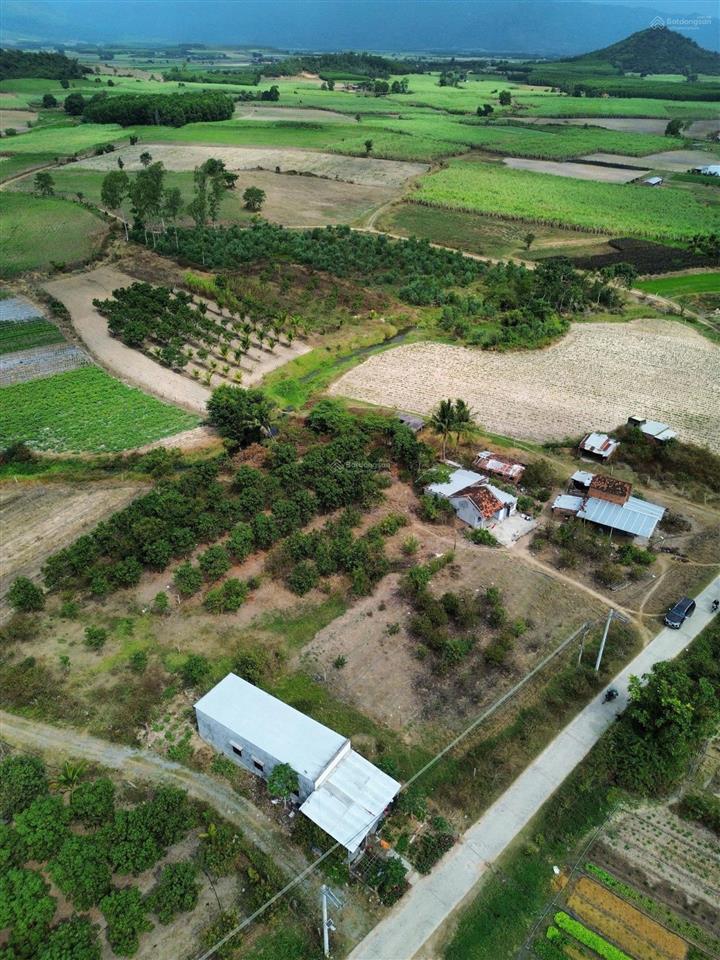240m2 đất full thổ cư mặt đường liên xã 8m qh 16m xã tây ninh hòa, khánh hòa, chỉ 420tr