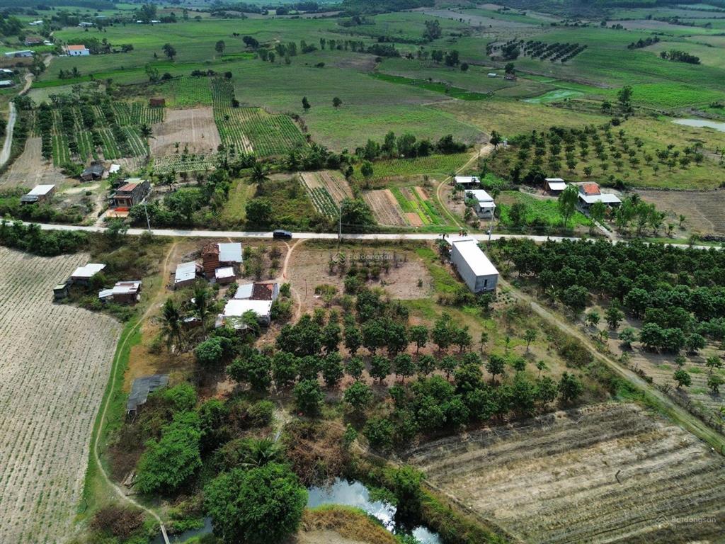 240m2 đất full thổ cư mặt đường liên xã 8m qh 16m xã tây ninh hòa, khánh hòa, chỉ 420tr