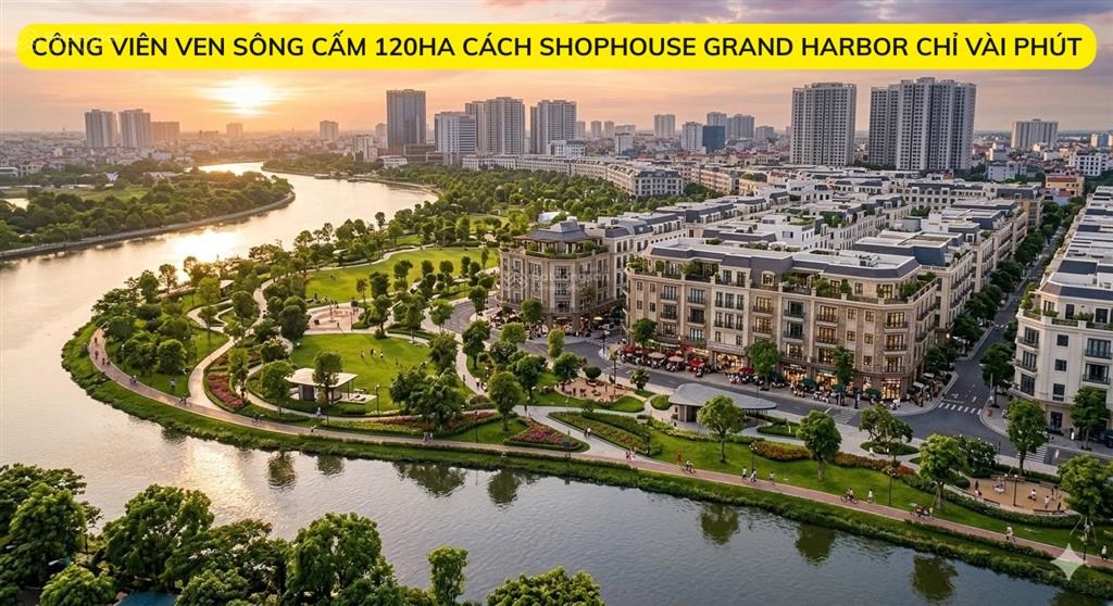 Siêu phẩm đầu tư shophouse trung tâm hải phòng sát 10 tòa chung cư, 78m2, mt 6m, 7 tầng, 14.6 tỷ