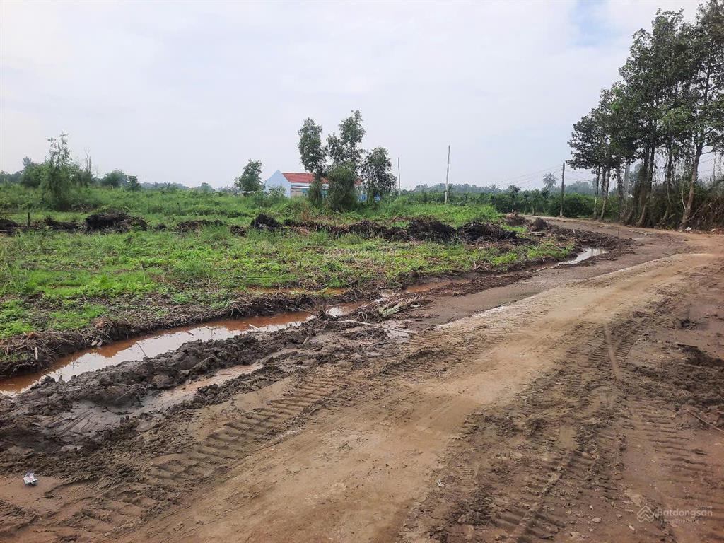 Bán rẻ 2500m2 đất nhà vườn chính chủ xã lương hòa huyện bến lức  long an đường xe tải, giá 3,5 tỷ