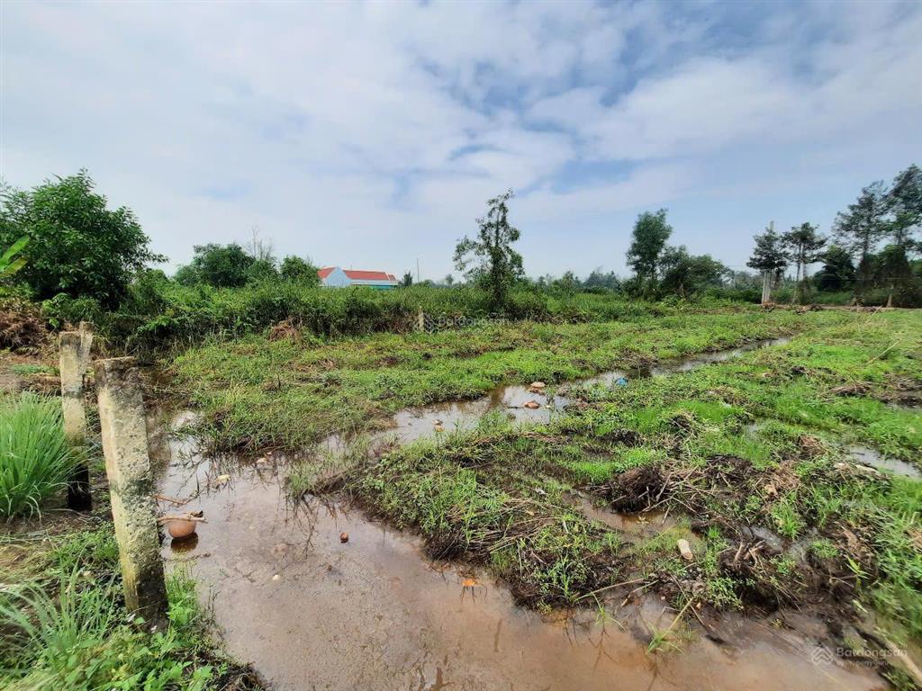 Bán rẻ 2500m2 đất nhà vườn chính chủ xã lương hòa huyện bến lức  long an đường xe tải, giá 3,5 tỷ