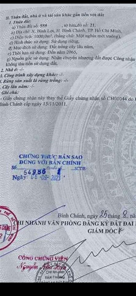 Kẹt cần bán nhanh đất sổ riêng 1000m thuộc bình chánh tphcm giá rẻ 2.8 tỷ  ngay 0902 081 ***