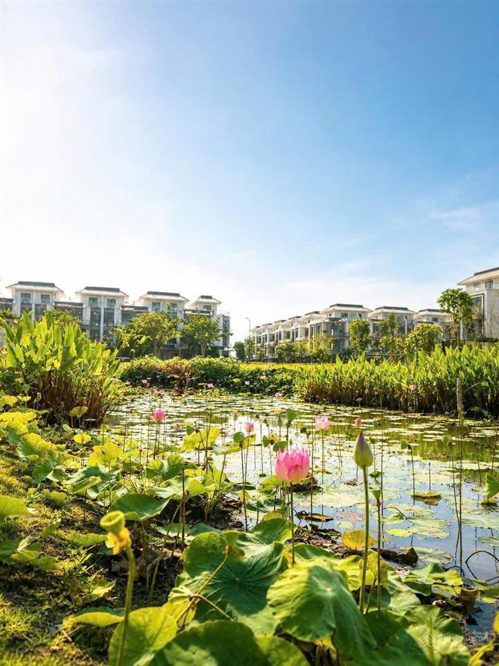 Sở hữu ngay biệt thự compound view sông hiếm có tại quận 2  chỉ 5x tỷ, sổ hồng sẵn sàng