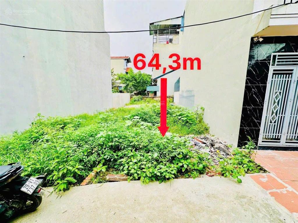 #bomtấn, đã có quy hoạch xây dựng thêm 3 trường đại học, dự án khu du lịch chùa chầm 100 tỉ