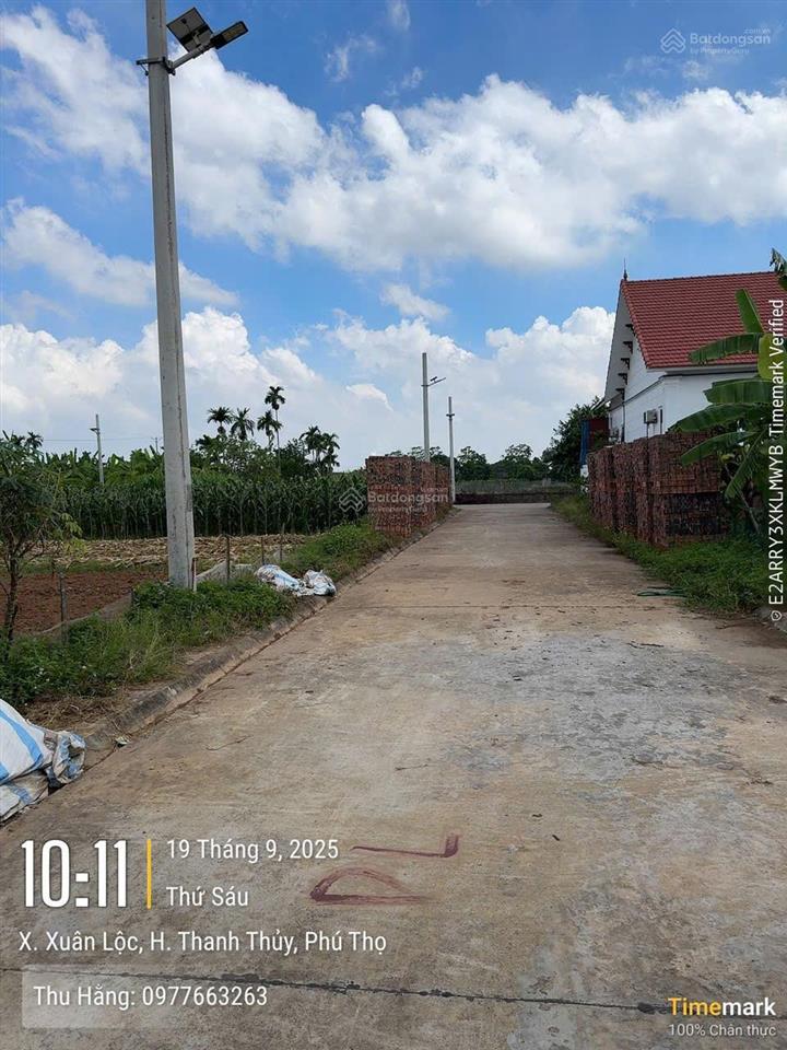 Cần bán đất đấu giá khu 3 xuân lộc cũ