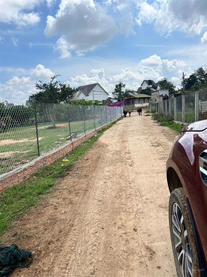 Đất gần chùa samten hills không gian an yên để an cư, tịnh dưỡng