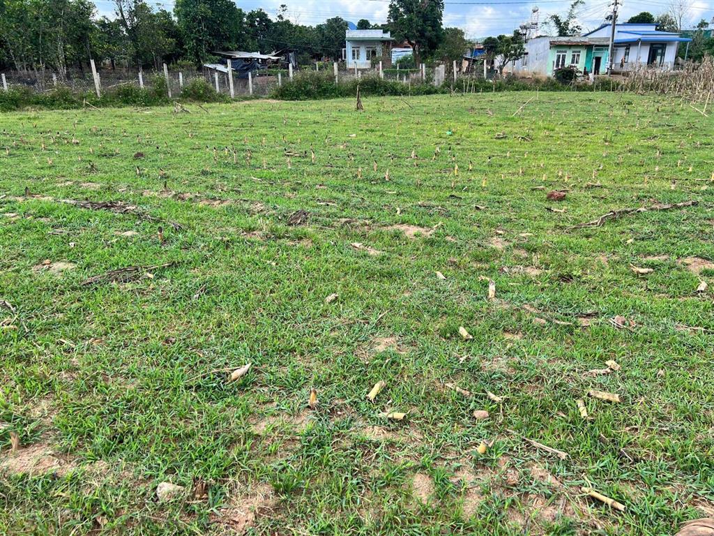 Đất gần chùa samten hills không gian an yên để an cư, tịnh dưỡng