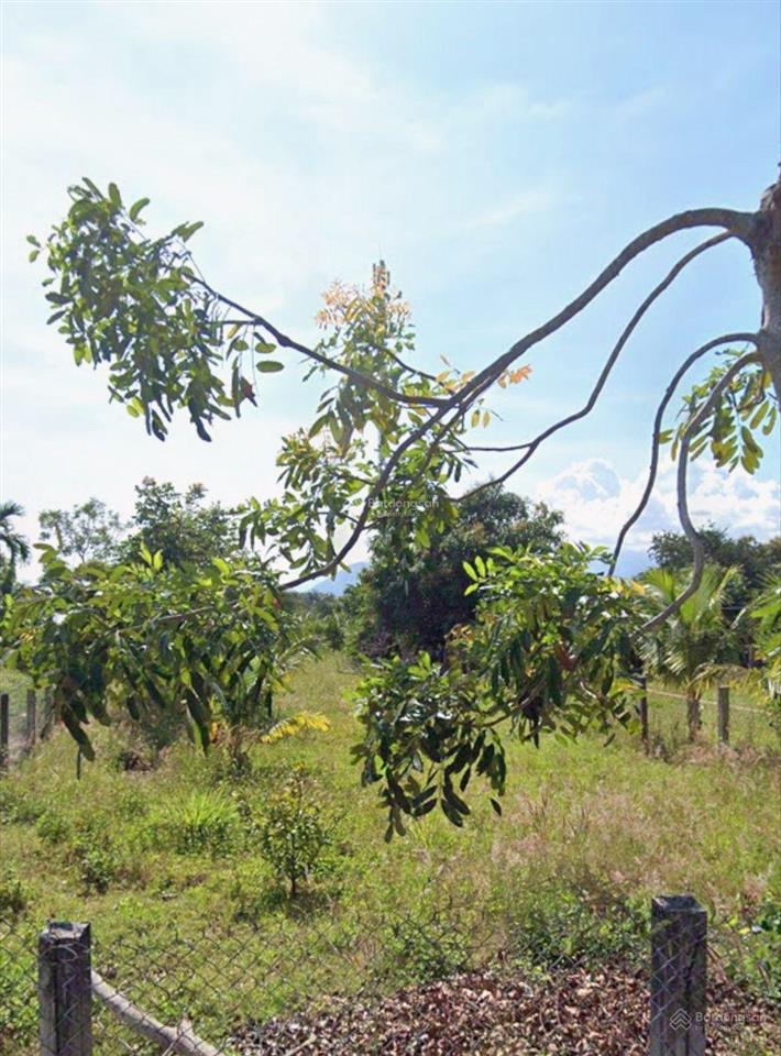 Bán đất 329,6m2 full thổ cư thôn tân dân 2 vạn thắng, vạn ninh