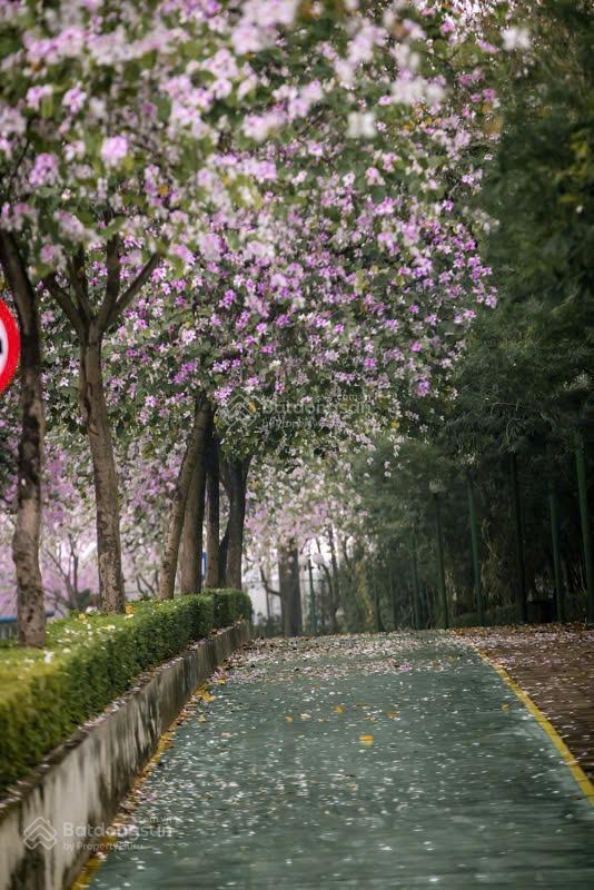 Biệt thự kita 140m, nhà mới, sẵn sổ, đường 17,5m 3 xe tránh nhau, 2 mặt tiền, view công viên