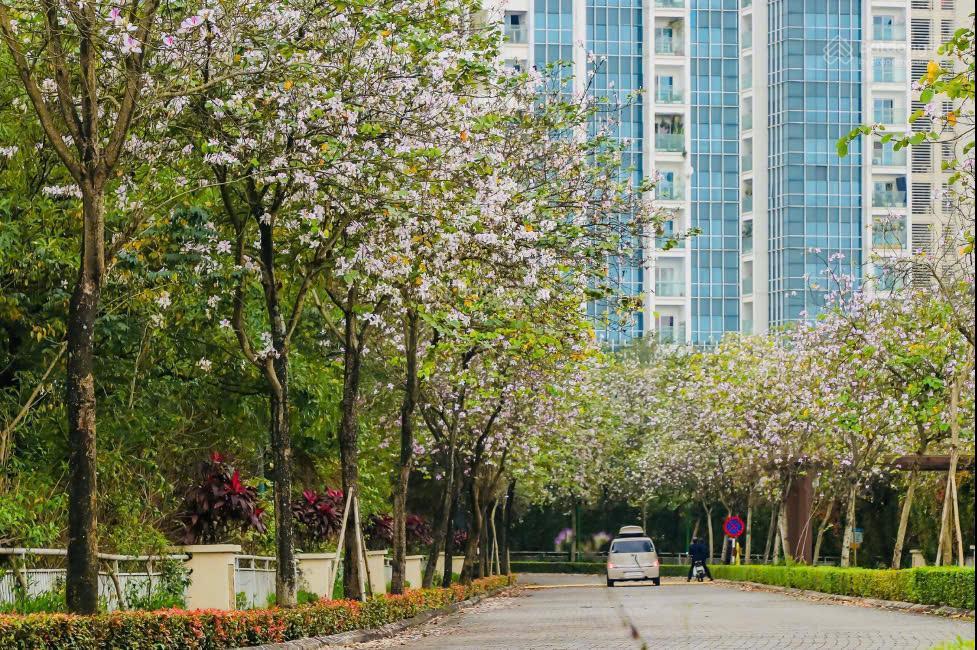 63 tỷ  biệt thự song lập 180m2, nhận nhà ngay, sẵn sổ, mặt tiền 9m, 500m ra nguyễn văn huyên