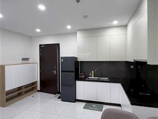 Cho thuê căn hộ 1pn  full nội thất  45m2  giá 5tr5/tháng