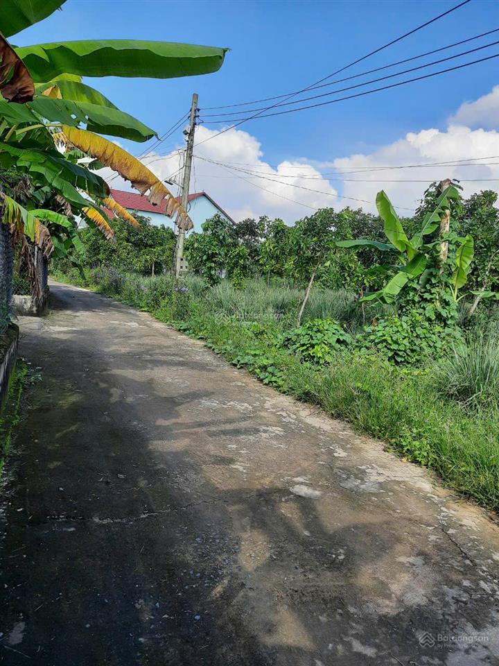 Bán gấp lô đất ở tại khu phố vườn vũ, đt 746, tân uyên, 1,76 tỷ, 255,6m²