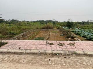 Chính chủ bán đất phân lô đấu giá Phúc Sơn - Hà Nội