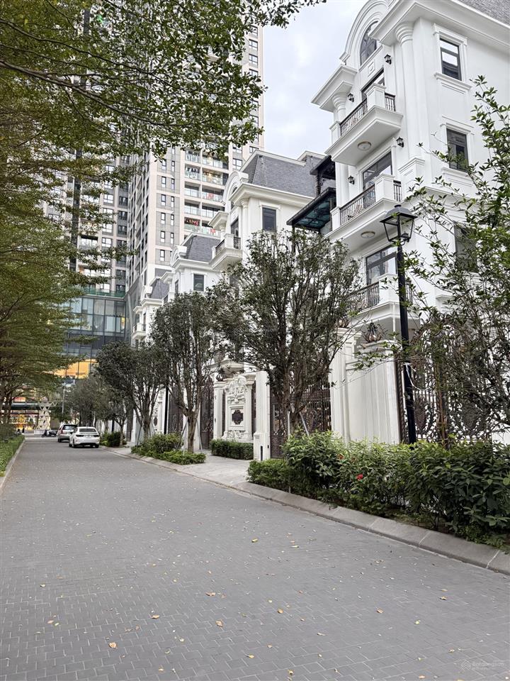 Biệt phủ the zei  đường đôi nội khu  266m2 5 tầng 1 hầm, ở yên tĩnh  sổ đỏ đẹp, giá thương lượng