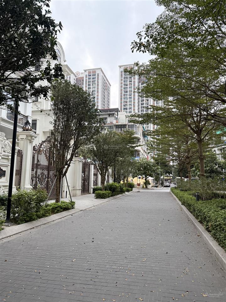 Biệt phủ the zei  đường đôi nội khu  266m2 5 tầng 1 hầm, ở yên tĩnh  sổ đỏ đẹp, giá thương lượng