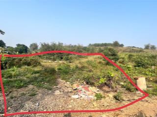 Siêu rẻ chưa từng có chủ cần bán gấp lô nghỉ dưỡng 1350m tại đồng cao tiến xuân giá vài triệu