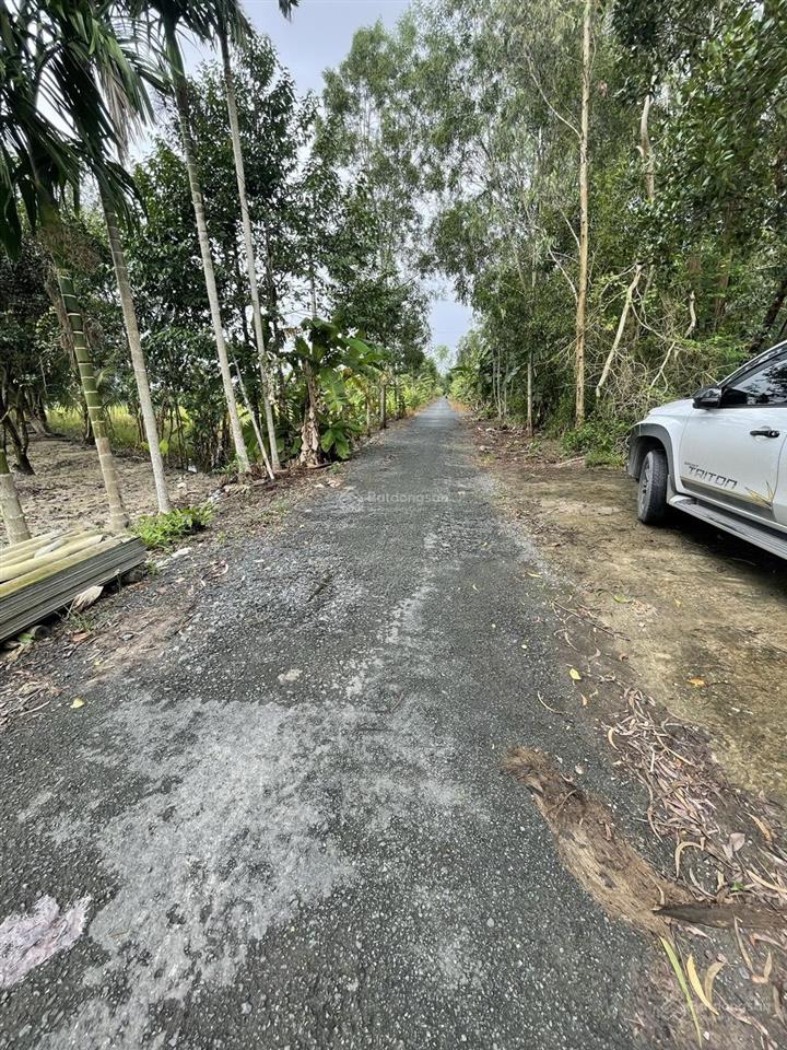 Bán 31.200m² vuông đất có 100m² thổ cư tại hỏa lựu, phường vị thanh, tp. cần thơ