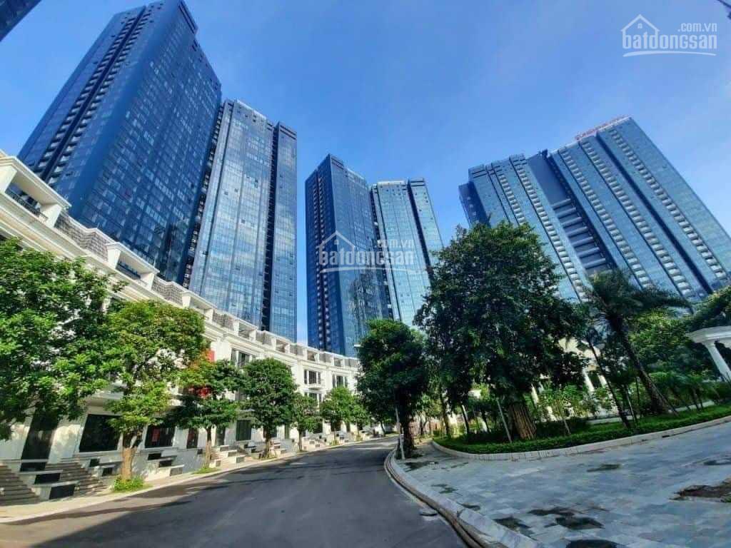 Danh sách căn giảm giá sâu  sunshine city ciputra tháng 09/2026 (2pn + 3pn + duplex) đã update