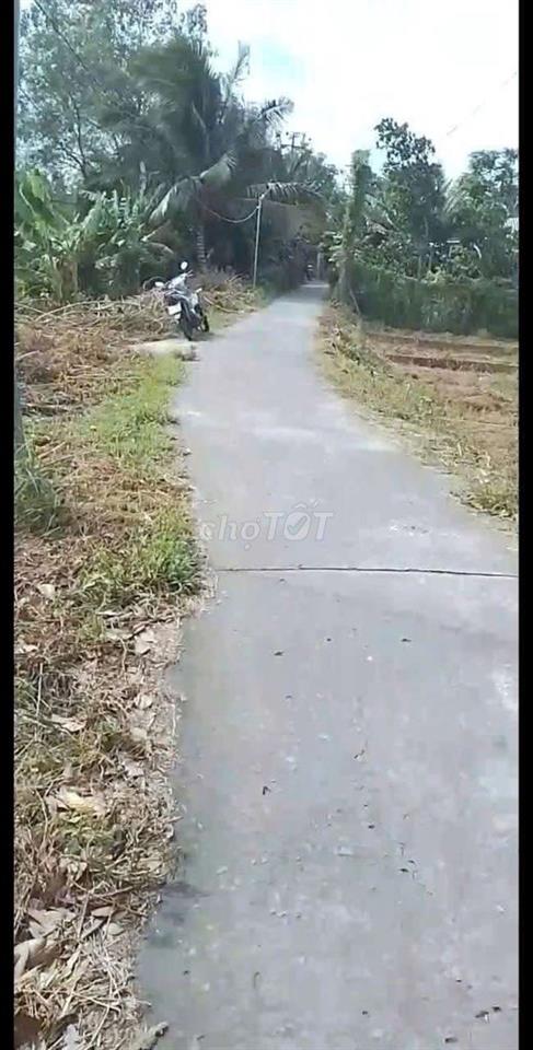 BÁN NỀN LỚN ĐẸP MẶT TIỀN ĐƯỜNG LỘ BÊ TÔNG GẦN CHỢ TÂN THÀNH XÃ TÂN LƯỢ