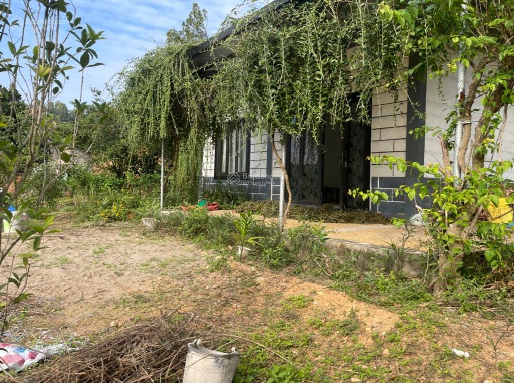 Chính chủ. bán nhà riêng & đất tại phường lê đại hành, hải phòng (phường an lạc, tp chí linh cũ)
