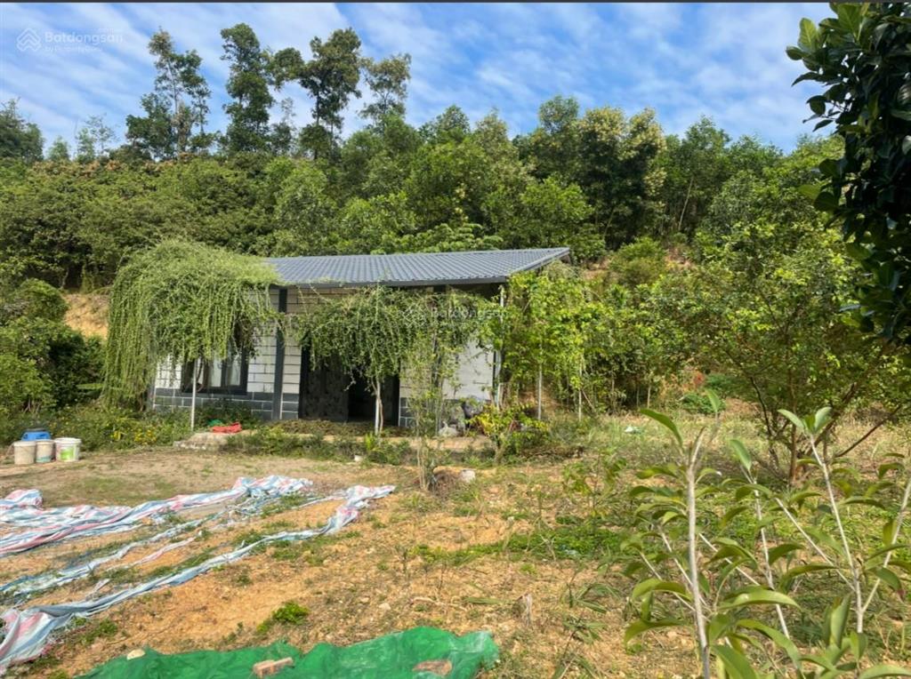 Chính chủ. bán nhà riêng & đất tại phường lê đại hành, hải phòng (phường an lạc, tp chí linh cũ)