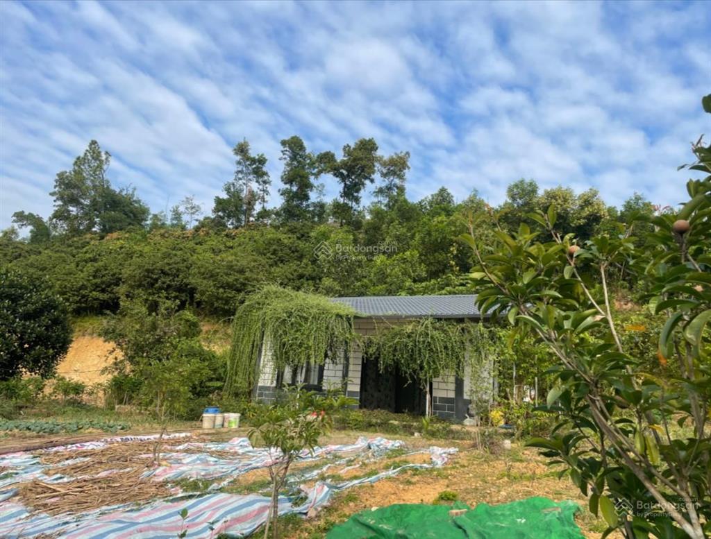 Chính chủ. bán nhà riêng & đất tại phường lê đại hành, hải phòng (phường an lạc, tp chí linh cũ)