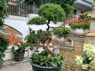 Bán nhà biệt thự bãi tắm hòn gai, hạ long, quảng ninh