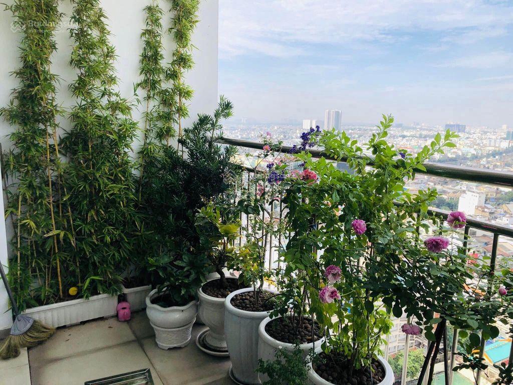 Chính chủ cần bán căn hộ chung cư 86 tản đà court apartment, phường 11, quận 5, diện tích 100m2