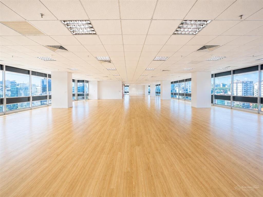 Cho thuê văn phòng nguyễn đình chiểu từ 130m2  5.000m2  free tiền thuê vp và free nội thất cơ bản