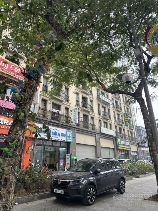 Cc cho thuê văn phòng các tầng tại shophouse the terra an hưng mặt đường tố hữu, hà đông
