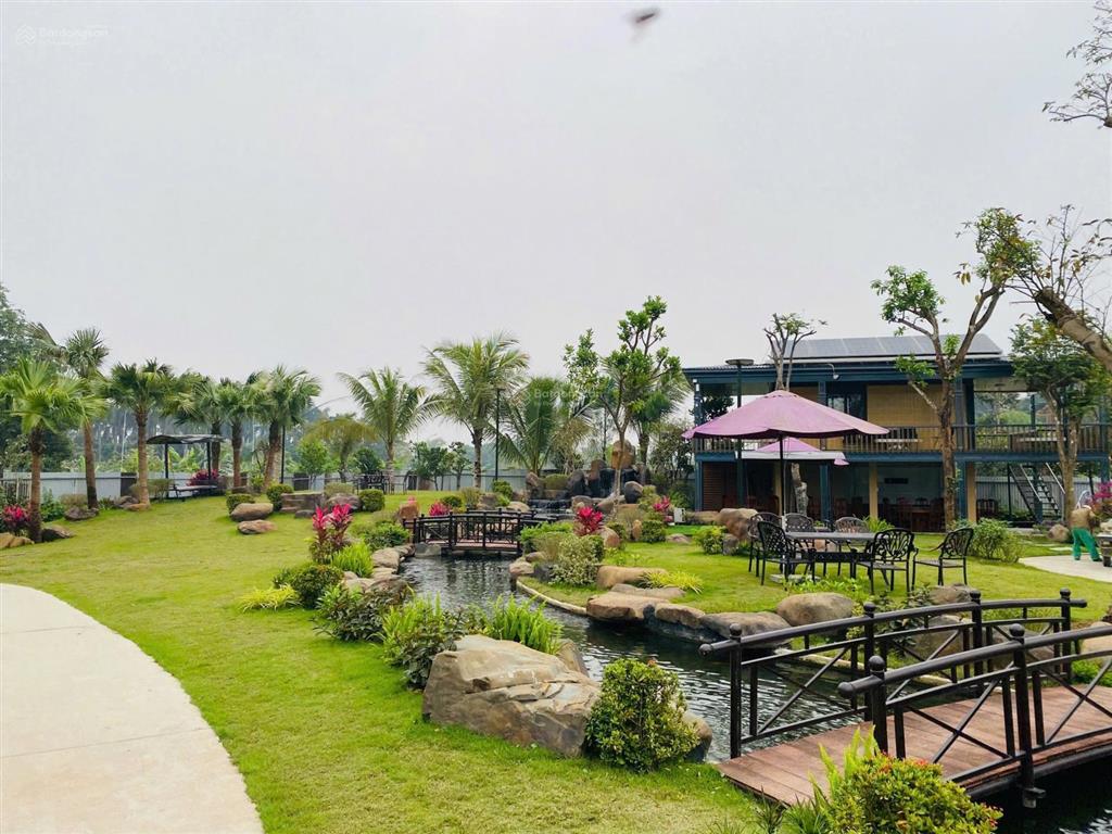 Bán nhà vườn tại nhuận trạch diện tích 3600 m