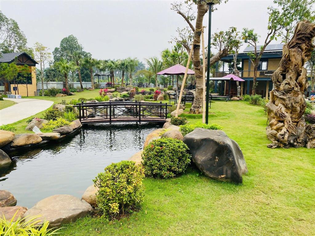 Bán nhà vườn tại nhuận trạch diện tích 3600 m