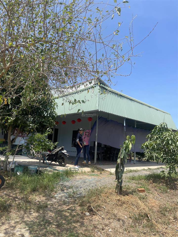 Bán đất vườn trồng thanh long, ở xã hàm cần, 820 triệu, 60000m2