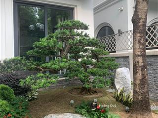 Biệt thự sân vườn kđt mễ trì  nam từ liêm 200m2*hai mặt tiền 10m. view khuôn viên giá 68 tỷ