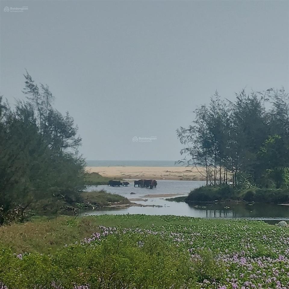Chính chủ cần bán 1032 m2 đất ở tại làng cửa khe, bình dương. sát hoiana và vinpearl nam hội