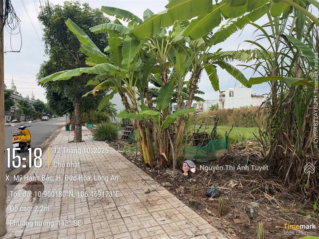 Đất sổ riêng  trục chính 14m  hướng bắc 5x20m | giá cực rẻ 1.37 tỷ